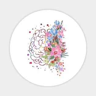 Brain anatomy Magnet